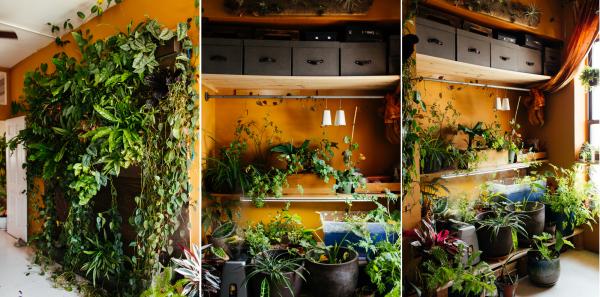 Filled with plants