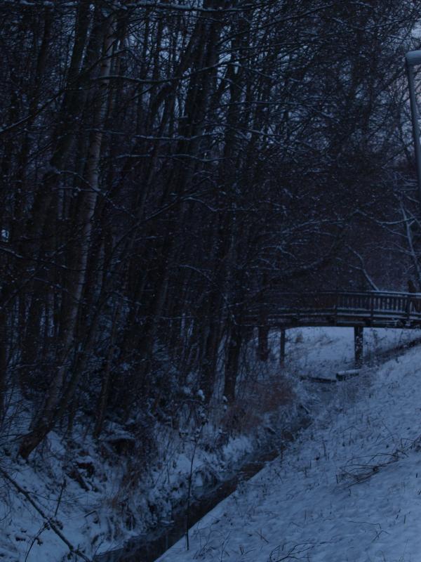First snow