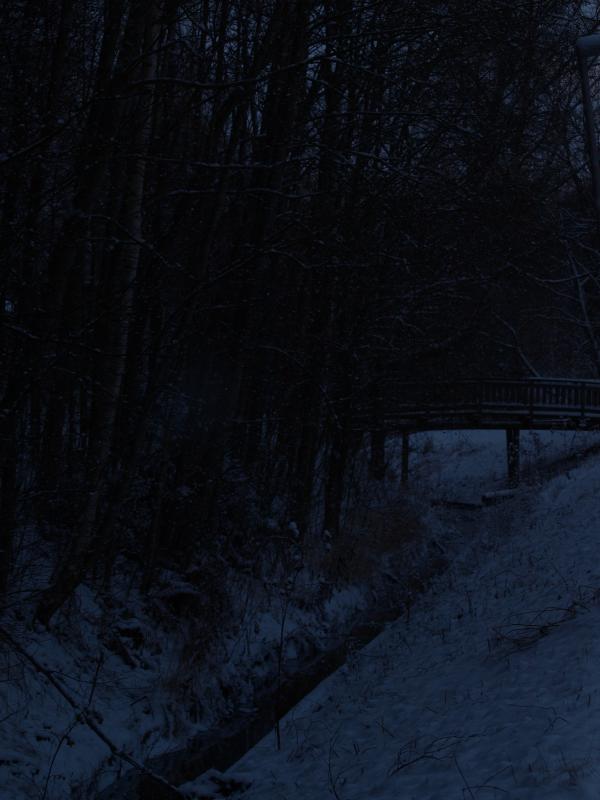 First snow