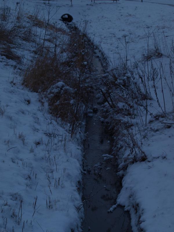 First snow