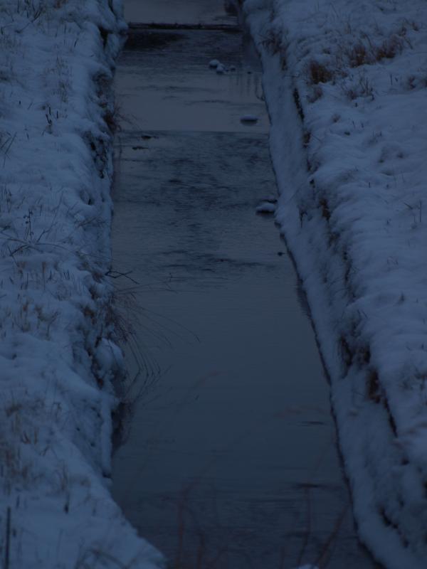 First snow