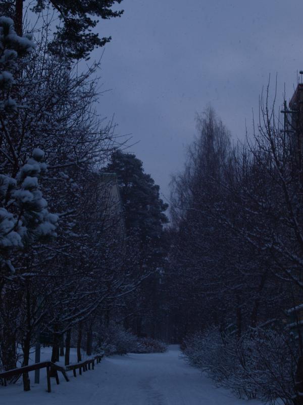 First snow