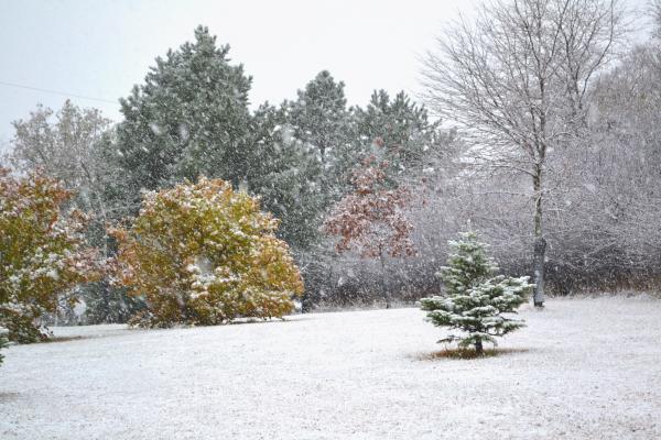 First snow