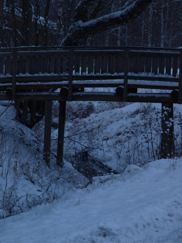 First snow