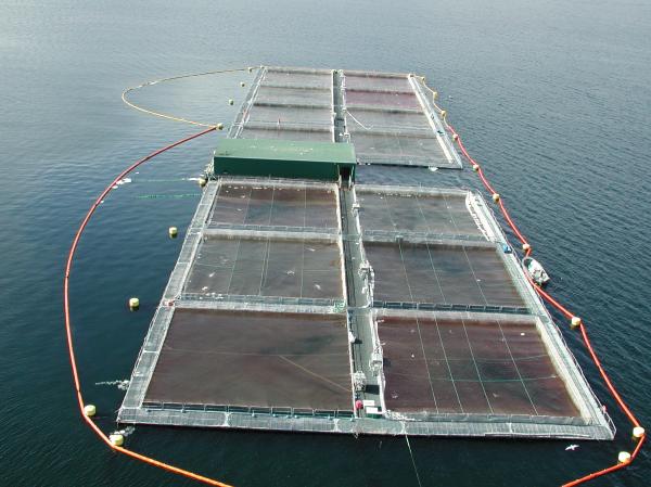 Fish Pens