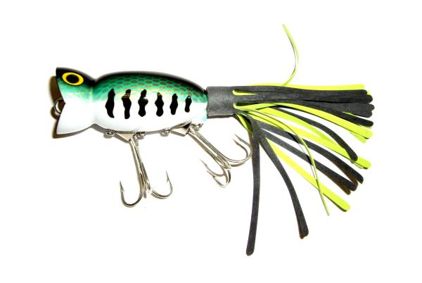 Fishing Bait