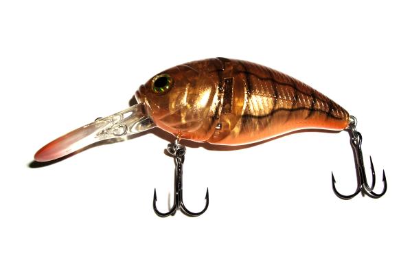 Fishing Bait