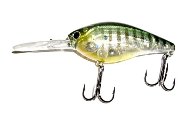 Fishing Bait