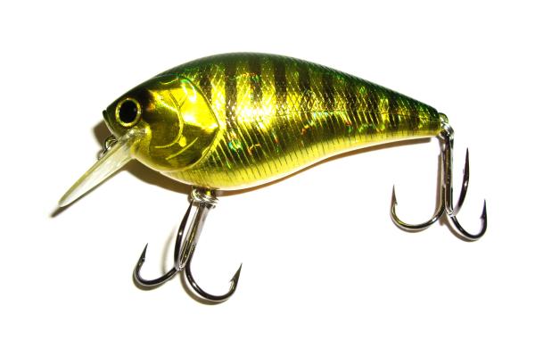 Fishing Bait