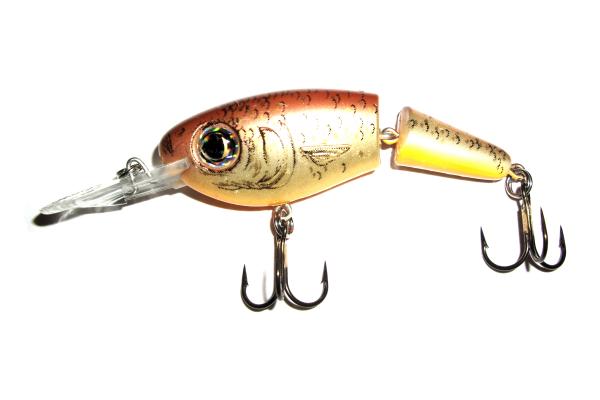 Fishing Bait