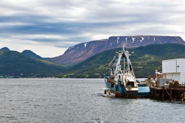 Fishing Boat