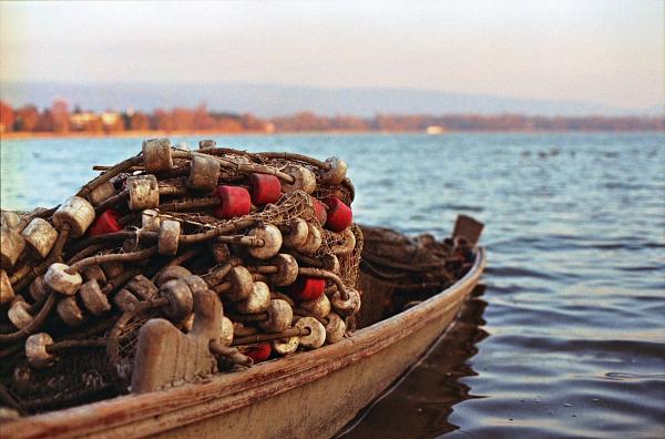 Fishing boat at the Öreg Tó / Halászcsónak az Öreg tavon