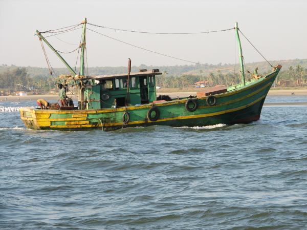Fishing boats