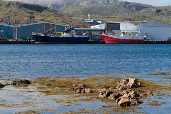 Fishing Boats