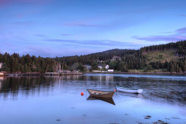 Fishing boats