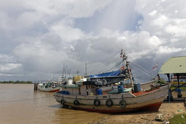 Fishing boats