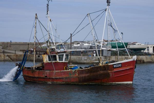 Fishing Boats