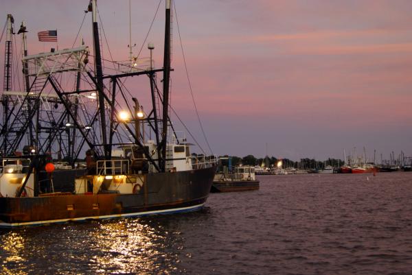 Fishing Fleet