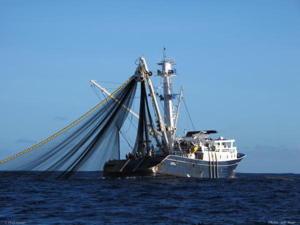 Fishing vessel