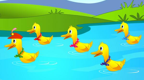 Five Ducks