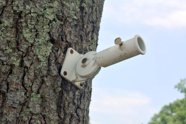 Flag Holder On Tree