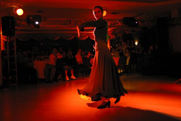 Flamenco Dancer