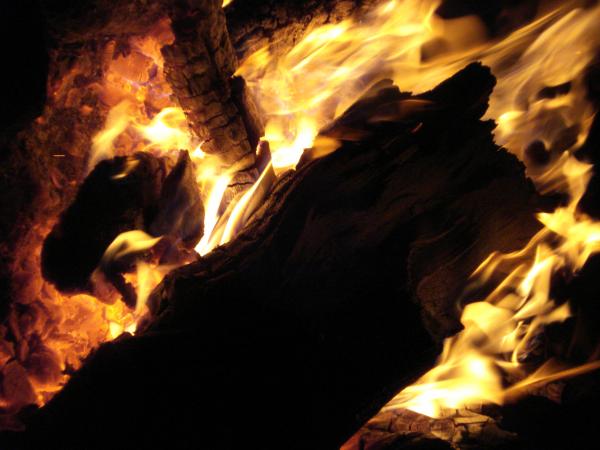 Flames from Burning Wood