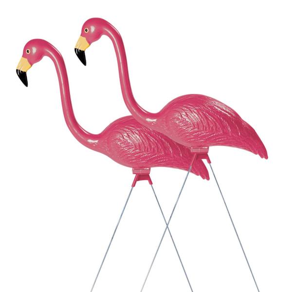 Pink flamengos