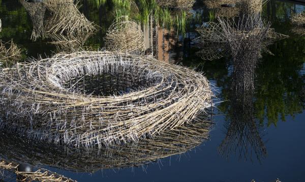 Floating bamboo