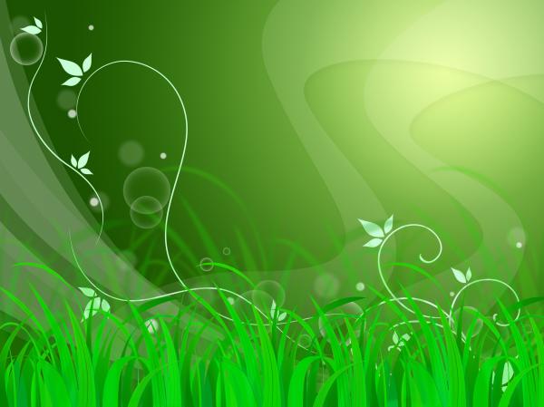Floral Horizon Background Shows Natural Field Or Fresh Environment