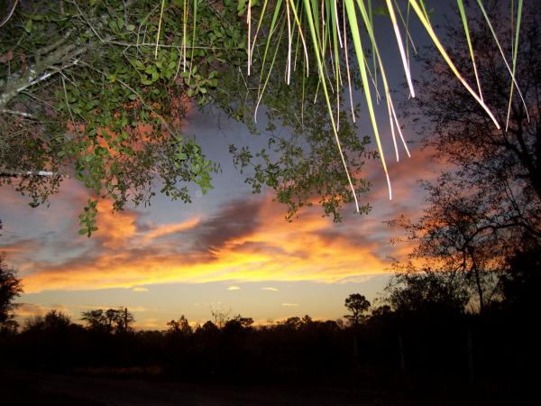 Florida christmas morning