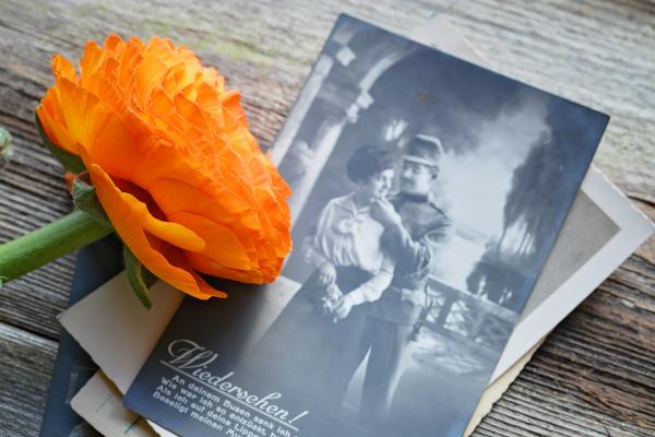 Flower and vintage picture