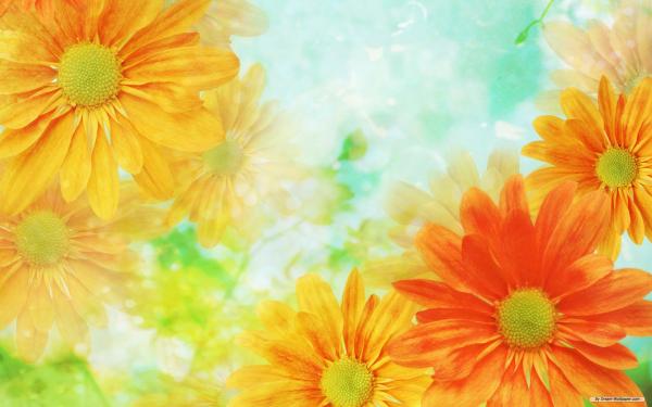 Flower background