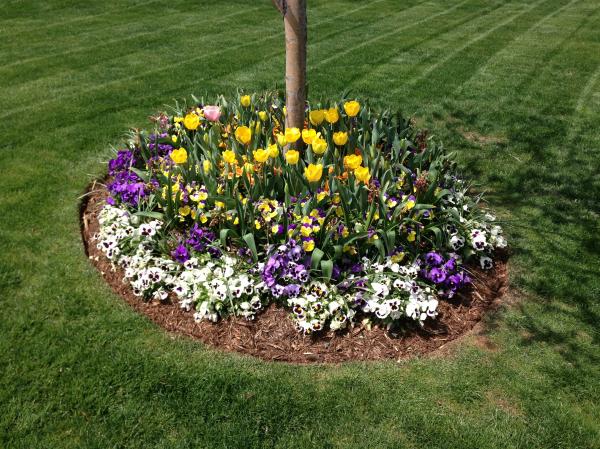 Flower bed