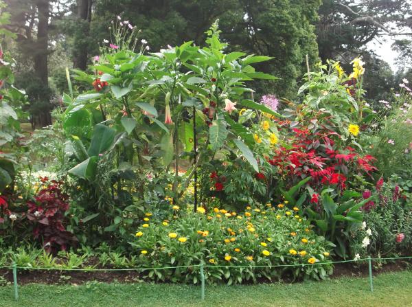 Flower Garden