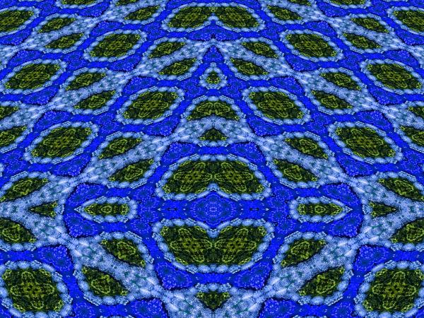 Flower garden abstract