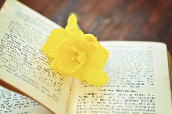 Flower in the Book
