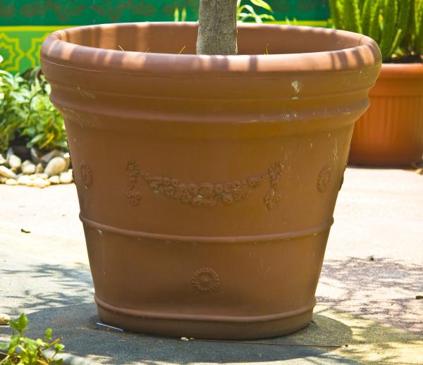 Flower Pot