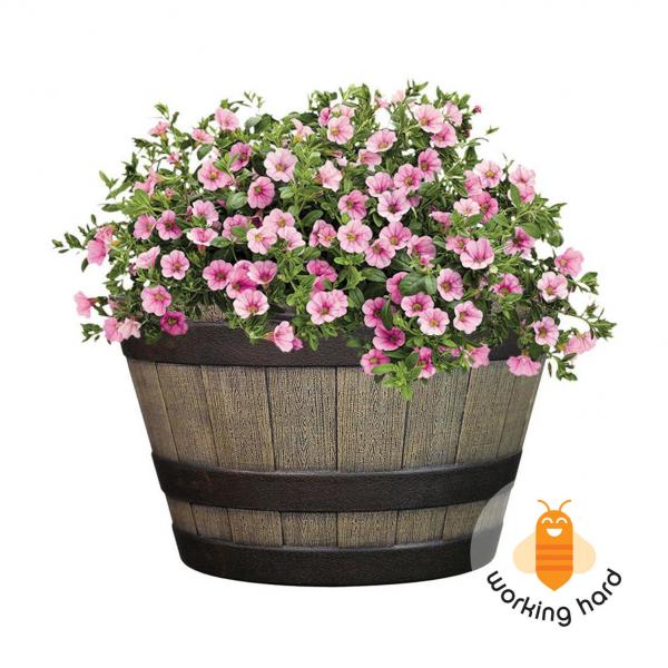 Flower Pot