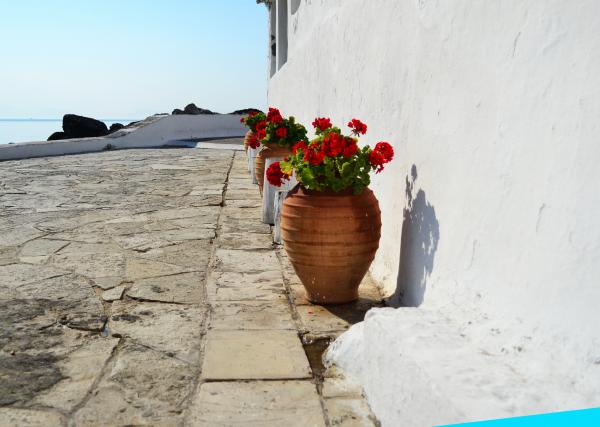 Flower pot