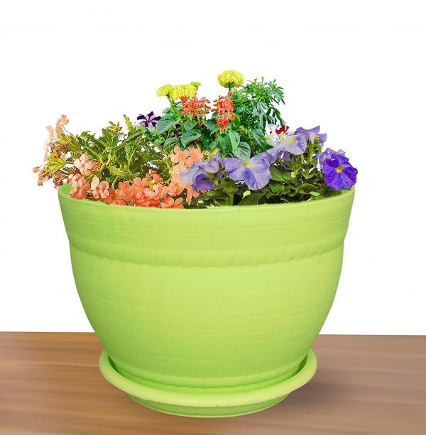 Flower Pot