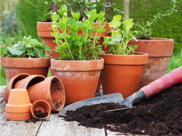 Flowerpots