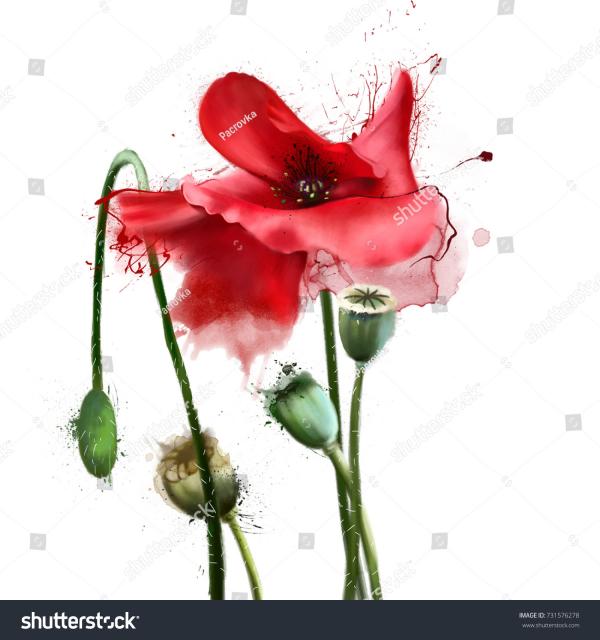 Flower streaks