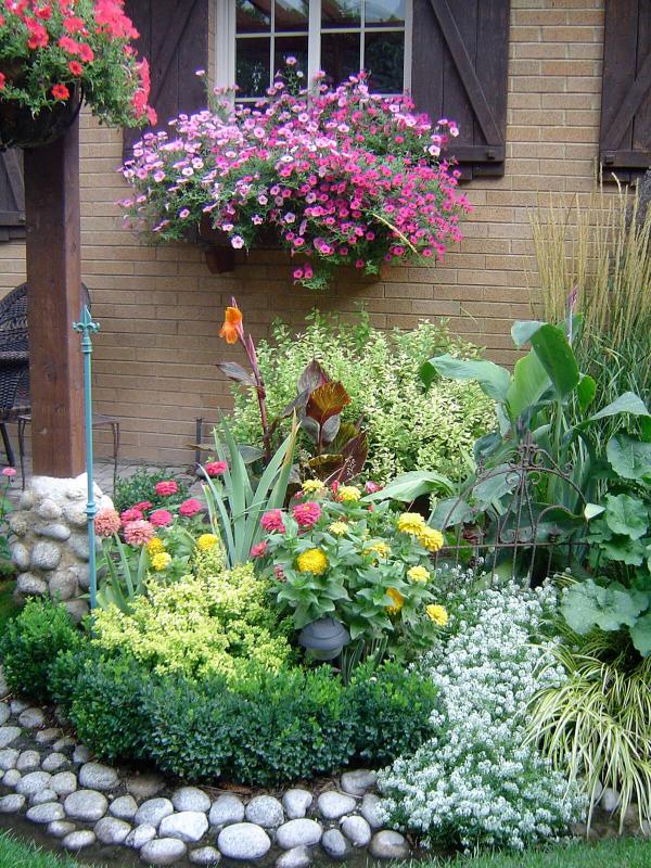 Rock flowers