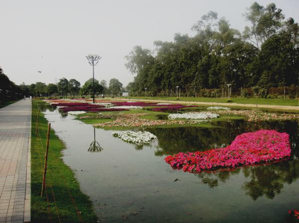 Flowers