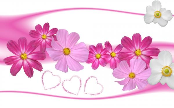 flowers