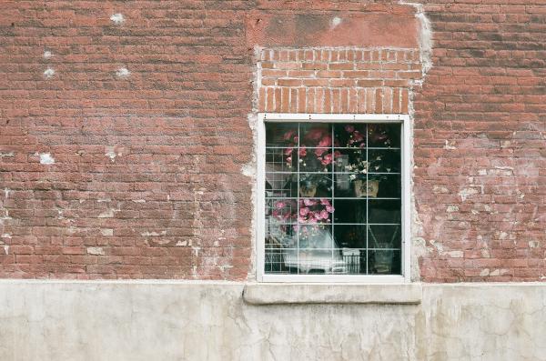 Flowers inside the window