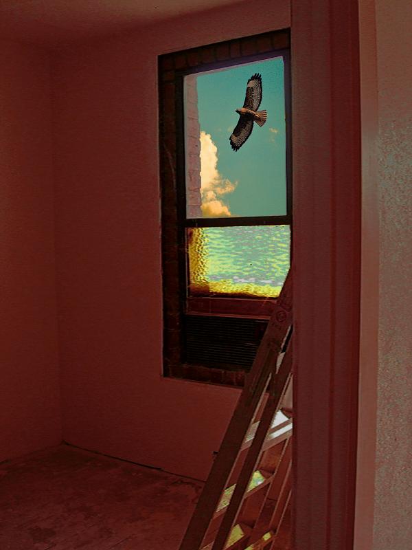 Flying by the Window