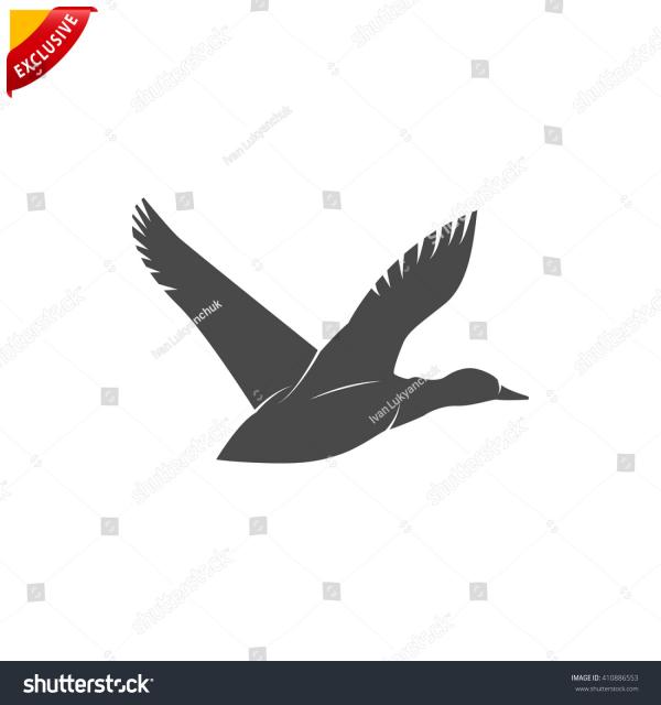 Flying Ducks