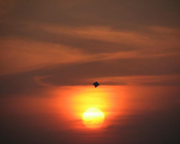 Flying high at sunset